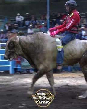 UFFF PERO QUE JARIPEO! Pero que monta, los Lobos VS Rancho El Cortijo Mx es garantis