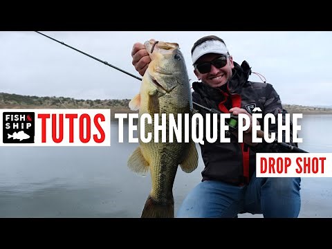 TECHNIQUE DROP SHOT : Simple et redoutable pour pêcher les carnassiers !