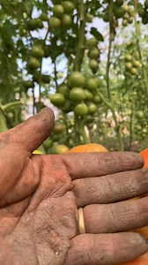 #farmerlife | Agricultural Research & Innovation Hub