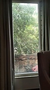 Calling me home (The Seekers)