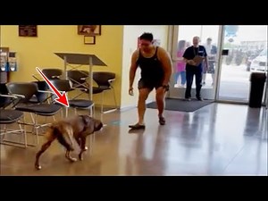 心を閉ざしていた保護犬。離れ離れだった飼い主と5ヶ月ぶりに再会を果たし喜びを爆発させる【動物 感動】