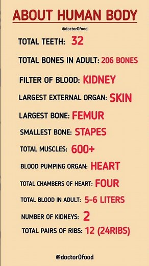 About Human Body | Amazing Facts About Human Body | Basic Anatomy Explained #healthylifestyle