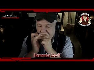 Groovy work ! Harmonica Low F