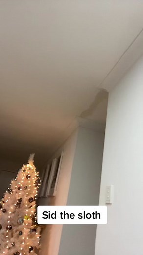 Hilarious Sid the Sloth Dance | Fun TikTok Video