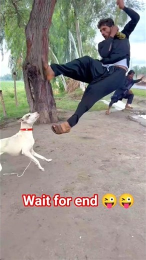 try Not To Laugh Challenge short video | very funny video #funniestvideo #funnymoment #funnyshorts