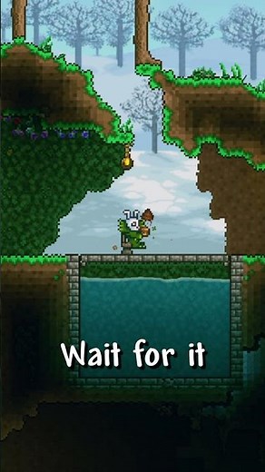 Quick Tips About Toilet In Terraria