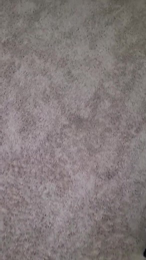 In Living Color - The Head Detective "Throw me!" 🤦🏾‍♂️🤷🏾‍♂️😆 #90s #cosplay #costume #inlivingcolor #theheaddetective #thewayansbros #DamonWayans #knightmage | Knightmage