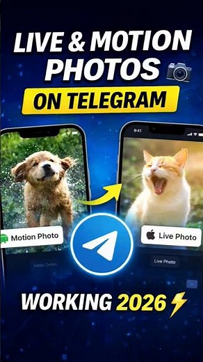 Send Live Photos on Telegram — Easy Guide for Android & iPhone