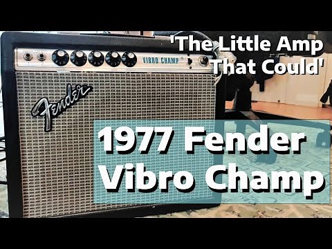 1977 Fender Vibro Champ | BIG sound SMALL Amp!