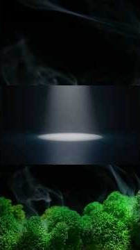 The Reason Control Once Kept You Safe #mindwave