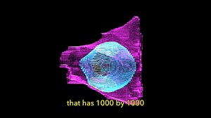 1.2K views · 20 reactions | How do you describe something as complicated and dynamic as a cell? A new AI-powered model by our cell science team can digitally represent a 3D cell and identify changes that otherwise would be missed. | Allen Institute | Facebook
