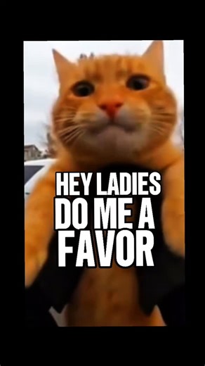 Shang Forbes on Instagram: "HEY LADIES, DO ME A FAVOR.... YOU KNOW YOU WANT TO. COME ON. Softest fur in the county. Lol GIVE ME A DAMN FOLLOW AND SHARE!! QUIT FN AROUND ALSO SIGN UP ON MY WEBSITE WWW.IAMSHANG.COM UPCOMING SHOWS 12/19 LAS VEGAS NV @nuwulv @nuwucomedyclub 12/19 LAS VEGAS NV @dirtyat1230 @southpointlv 12/20 LONGBEACH CA @laughfactorylbc 1/1 HIGHLAND CA @yaamava 1/3 COVINA CA @laughfactory.covina"