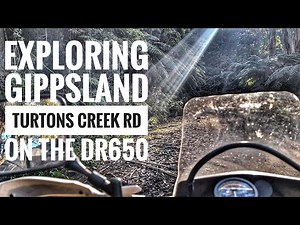 DR650 Adventures - Turtons Creek Rd #suzuki #dr650 #motovlog #offroad #adventure
