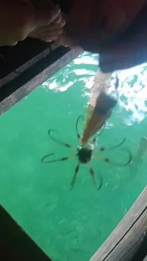 Mastering the Art of Fishing Hooks: Essential Tips and Techniques