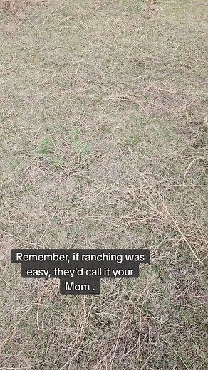 Life on the Ranch: A Day in the Field