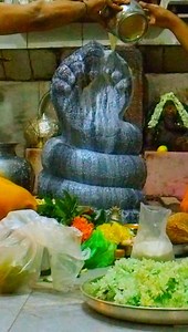 8.9K views · 1.7K reactions | Divine Abhishekam of Nagalamadaka...