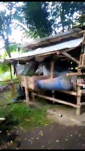 Ready na xa mag balik sa fighting arena😍😍😍 | Jeremy Ian Fulgencio