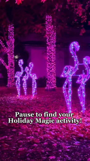 Pause to find your new favorite area or activity around Holiday Magic! This year, Holiday Magic shines brighter than ever with more dazzling displays and over 3.5 million lights to explore. Revisit beloved favorites like the Giant Orb and the Gingerbread House or discover new delights like Tic-Tac-Toe and the Flamingo Forest. Everywhere you turn, a winter wonderland is waiting to welcome you at the Zoo! Holiday Magic runs on select dates including Dec. 4-7, 11-14, 18-21 and 26-31; Jan. 1-4, 2026