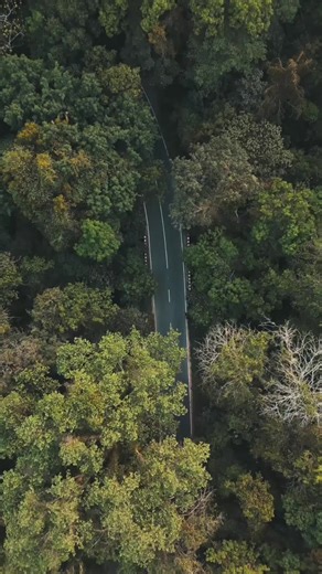 Emeli Sandé's Inspiring Song: A Deep Dive