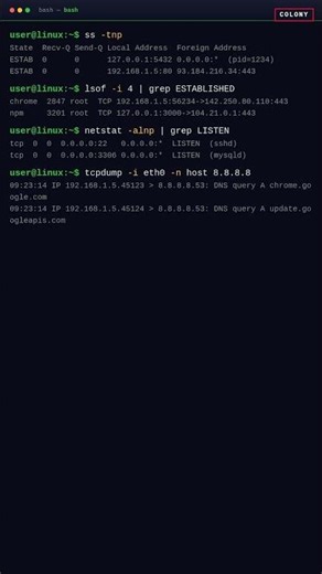 5 Linux Commands to See Who's Watching Your Network