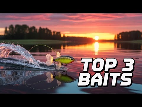 Catch More Fish This September With These Lures!