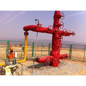 [Hot Item] Petroleum Drilling Christmas Tree / Oil Producing Tree / X-Mass Tree for Wellhead Made in China