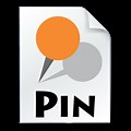Pin