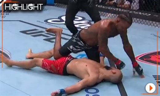 UFC Tampa Highlight Video: Michael Johnson Clobbers Ottman Azaitar