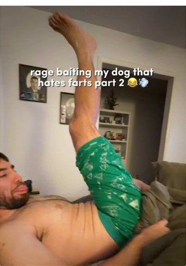 rage baiting my dog that hates farts pt 2 💨🤭@Daniel Castillo #dogsoftiktok #dogprank #fartsarefunny