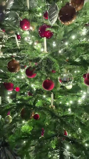 FunBeautyGigi on TikTok