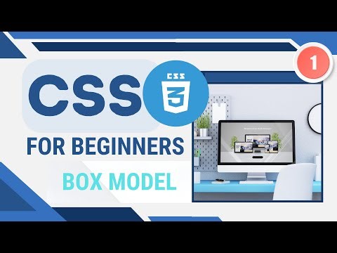Master CSS Box Model || Responsive Layouts || CSS For Beginners Part 1