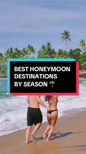 TropicalTripTips on TikTok