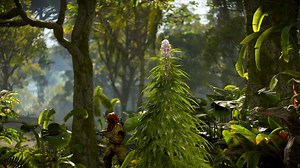 The Jungle Biome is still evolving with new plant life taking root throughout. 🌱🌿🌴 Read more in our DevBlog: https://rust.facepunch.com/news/nerfed-buffed-balanced | Play Rust