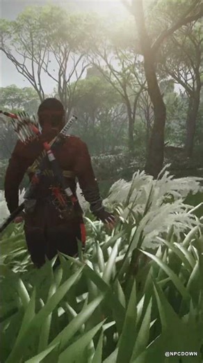 Sunlight & Solitude 🍃