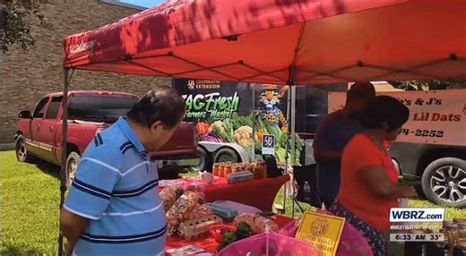 Southern University Ag Center | Fresh food. Local farmers. Community impact. 🌱 And the impact continues. The JagFresh Farmers Market, led by Director Cornelius Jackson,... | Instagram