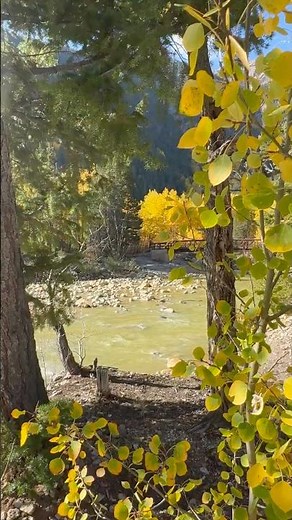 A Perfect Fall Day in the Colorado Mountains