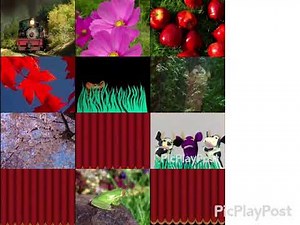 12 Baby Shakespeare Poems At The Same Time