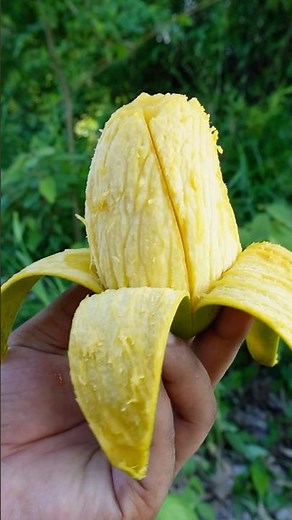 Perfect Mango Cutting Hack You NEED to Try! 🥭🔪#mango #foodart