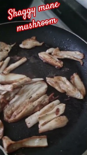 #cooking shaggy mane mushroom South Korea