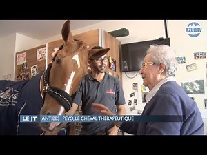 Antibes : Peyo, le cheval thérapeutique