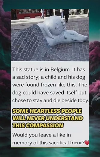 He Could Have Run... But He Chose to Freeze Beside His Boy. 💔🇧🇪