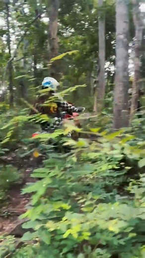 bignum.989 บน TikTok