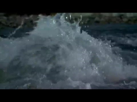 Wednesday morning's top story on WFSB+