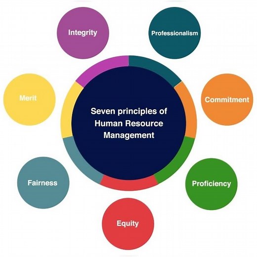 Seven Principles of Human Services in HR Management