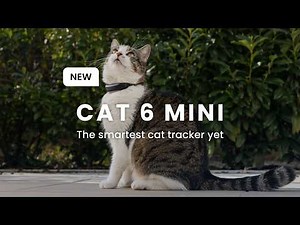 Tractive CAT 6 Mini: GPS & Health Tracker for Cats 🐱 | Live Tracking, Vital Signs, Activity & Sleep