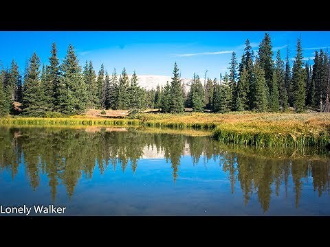 069 WY: Medicine Bow National Forest, beautiful!