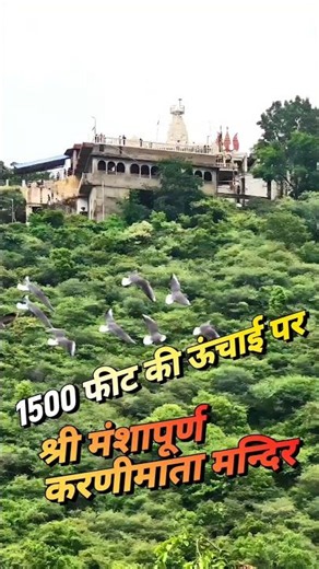 Shri Mansapurna Karni Mata Mandir Udaipur : 1,500 फीट ऊंची पहाड़ी पर मातारानी का दरबार