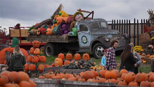 Where to go apple picking in Delaware, plus other fall farm fun