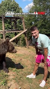 662K views · 10K reactions |  Un Youtubeur Serbe se retrouve nez-à-nez face à un ours ! C’est dans l’actu des réseaux de Thibaud Le Floch | M6 Info | Facebook