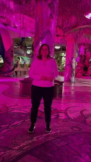 16K views · 150 reactions | Everything is coming up P!nk In partnership with Live Nation Concerts, we giving away a pair of tickets to see @P!nk next summer at the Dome. Comment with your favorite P!nk song, your fav City Museum experience, and tag 3 people to enter. A winner will be picked at random and we’ll announce them the morning of December 11! #weirdlywonderful #citymuseum #pink #summercarnivaltour | City Museum, St Louis, MO | Facebook